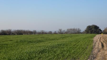 Solución al Reto visual de los dos conejos.