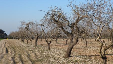 La posición de los dos conejos señalizada.