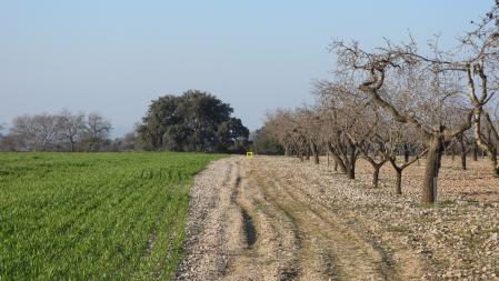 La solución del Reto visual de los dos conejos.