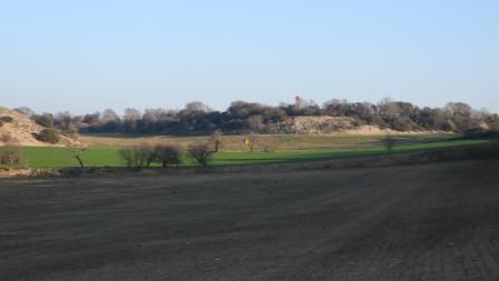Solución al Reto visual con la posición de las tres aves señalizada.