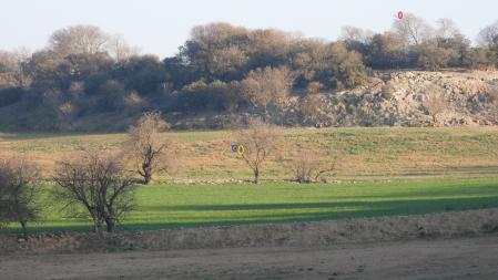 Solución al Reto visual de las tres aves.