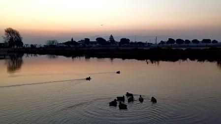 Amanecer en el Parc de l'Agulla.