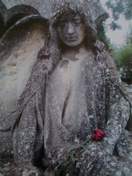 El ángel melancólico del cementerio de la Almudena.