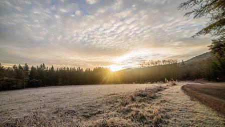 Nevada de febrero en el Montseny.