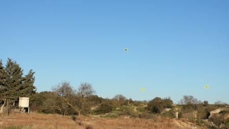 La posición de los milanos señalizada.