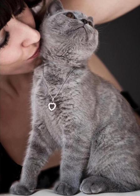 Peter es uno de los compañeros felinos de la actriz Betsy Túrnez