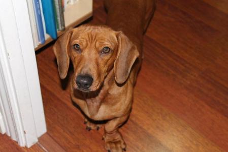 Tu familia siempre te recordará, Parche