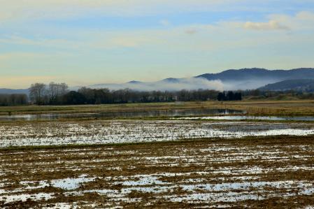 El humo de los campos de arroz de Pals.