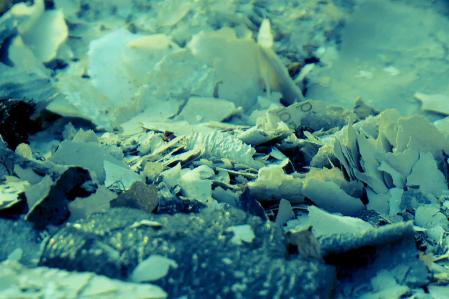 Interpretación fotográfica del deshielo a partir de unas cenizas.