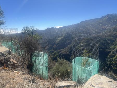 Muestra de los captadores individuales.