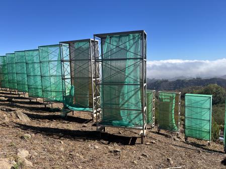 Muestra de captadores tipo torre.