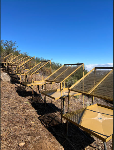 Muestra de captadores innovadores.