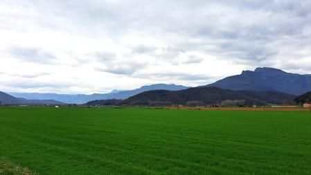 Sant Joan les Fonts.