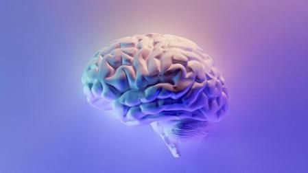 Imagen de un cerebro humano