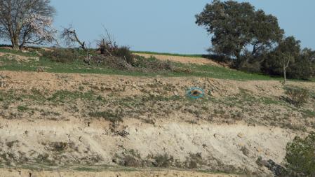 Solución al Reto visual del milano.