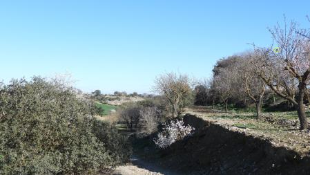 Solución al Reto del colirrojo tizón.