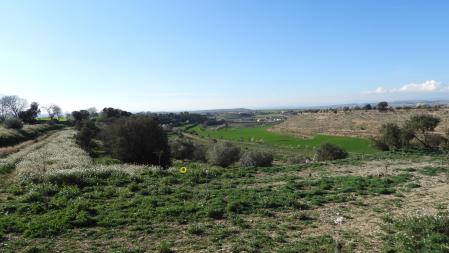 Solución del Reto visual del conejo.