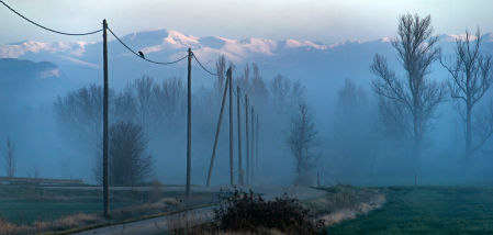 Nieblas, nieve en el Puigmal, con el cuervo justo delante y ambiente frío, en Vic.