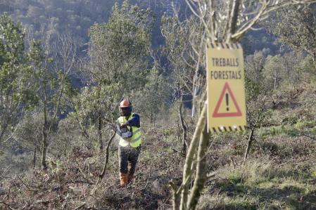 Trabajos de prevención de incendios en Collserola