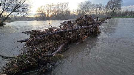 Sedimentos acumulados en la pasarela del Ter.