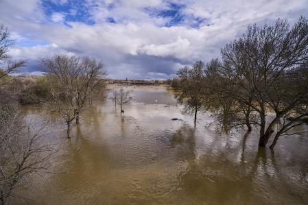 El municipio toledano de Escalona está pendiente este lunes de la evolución del caudal del río Alberche