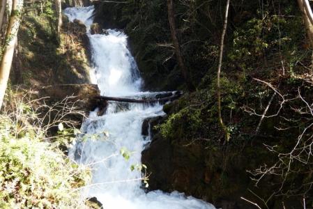 Mucha agua para la Font Gran d'Ogassa.