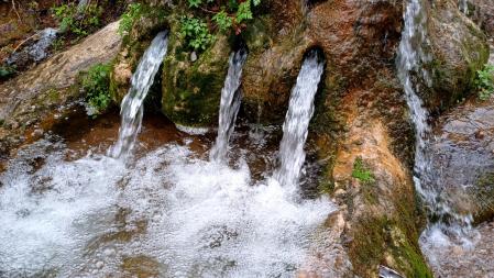 Las fuentes de Rellinars vuelven a manar en abundancia.