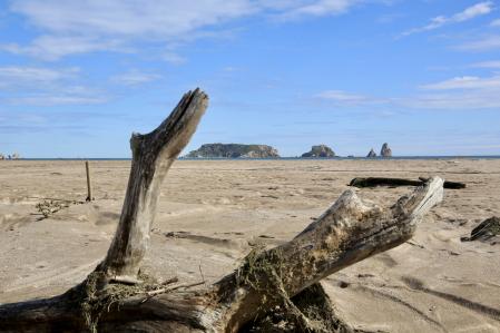 Gola del Ter tras el temporal.