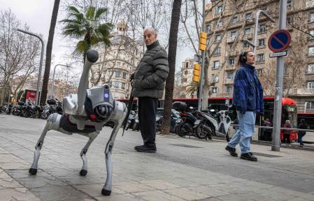 El perro robot causa gran curiosidad y extrañeza entre los transeúntes&nbsp;