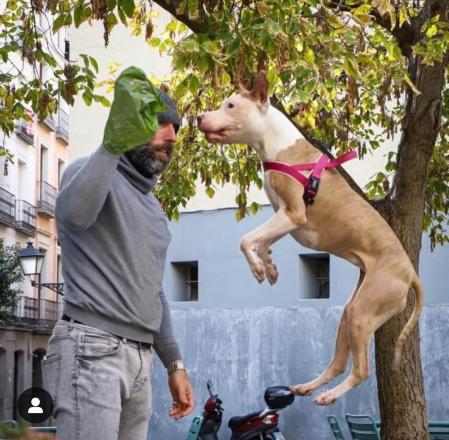 Chula tiene muchos seguidores entre los turistas de Madrid