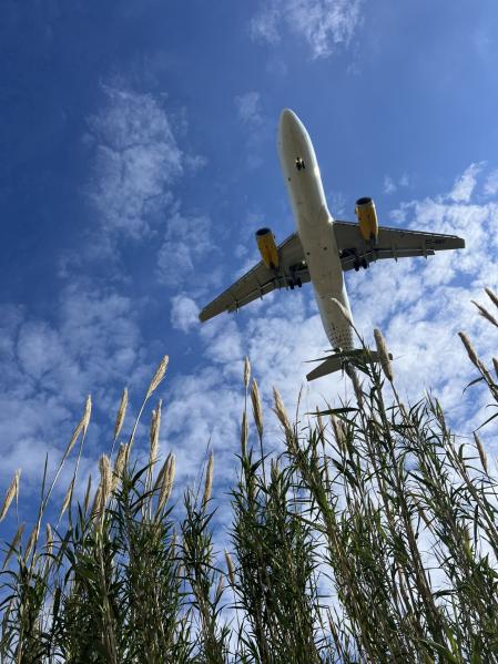 Avión sobrevolando los parajes naturales del Delta del Llobregat.
