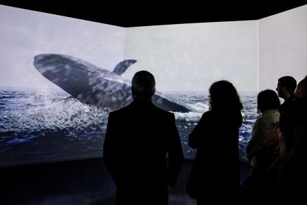 La muestra alerta sobre el peligro de extinción que amenaza muchas especies animales