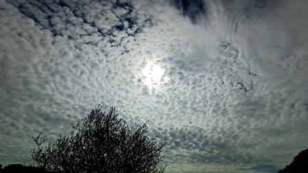 Cielo de borreguitos de Puig-reig.