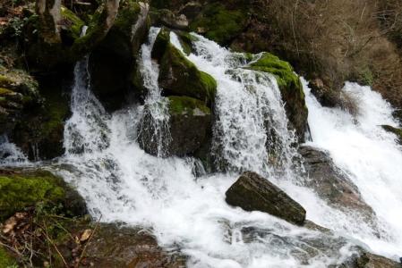 Fonts del Llobregat, a tope.