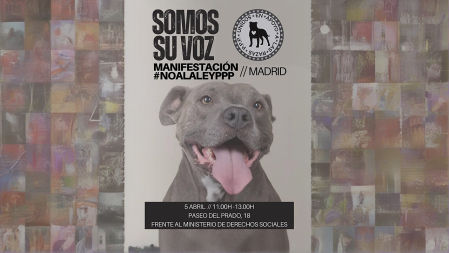 Madrid acoge una manifestación para exigir la derogación inmediata de la injusta Ley PPP