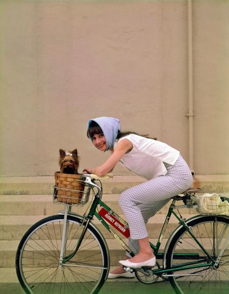 Audrey Hepburn con su Yorkshire terrier, Mr. Famous, que le acompañó durante el rodaje de My Fair Lady, en 1964.
