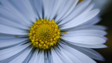 El paraíso primaveral de la Font Moixina.