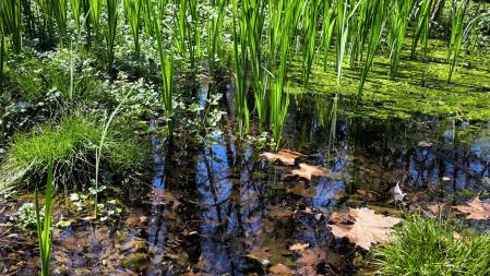El paraíso primaveral de la Font Moixina.