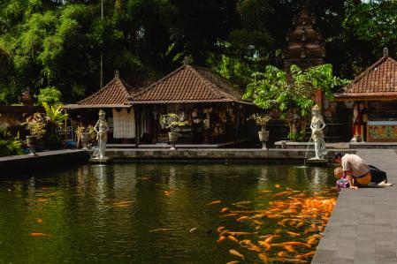 La belleza de Bali cautiva a los foráneos