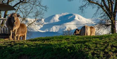 Sant Bartomeu del Grau.