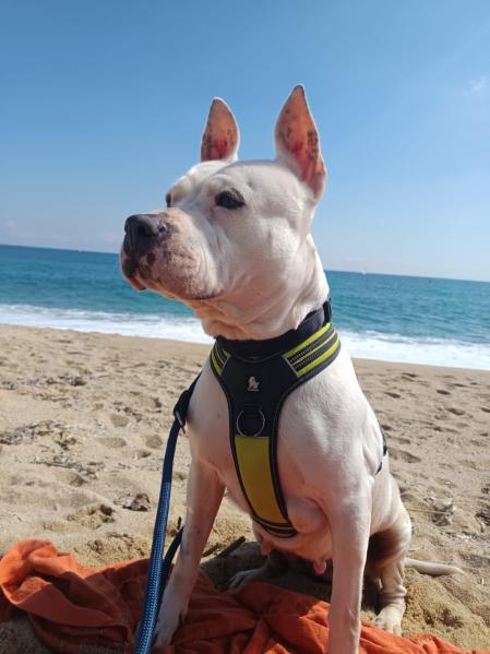 Roli disfruta de su nueva vida