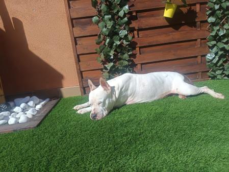 Roli vive como una reina en casa de Olga