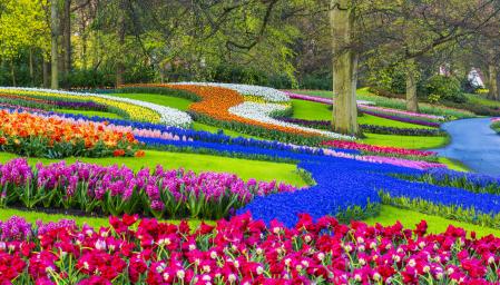 Los jardines de Keukenhof son una parada obligatoria para quienes visitan Holanda en primavera