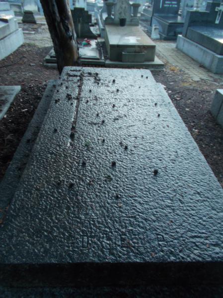 Tumba de Dionisio Ridruejo (1912 - 1975).