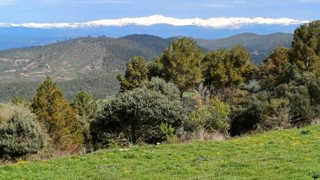 El Pirineo blanco visto desde Calders.