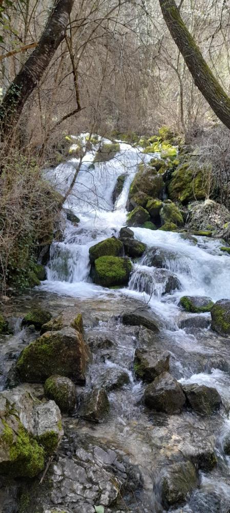 Fuentes del Cardener.