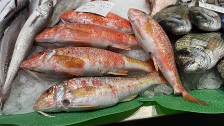 Mercado del pescado en Palafrugell.
