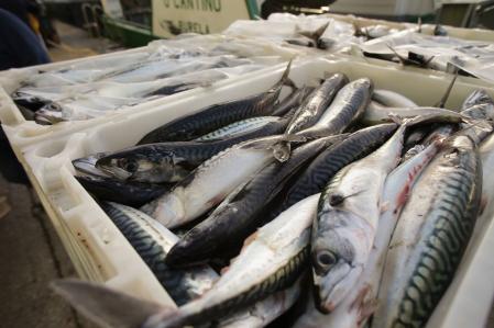 Cajas con caballas durante la descarga de caballa en el puerto de Burela 