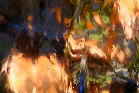 'La dinámica del espíritu' es una de las tres obras, también publicada en Guyana Guardian.