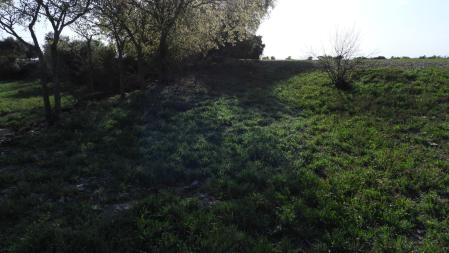 Reto visual: ¿Eres capaz de encontrar al conejo blanco?